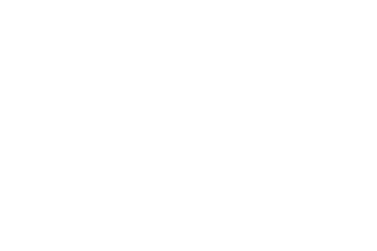 A10-network-sponsor-logo-white