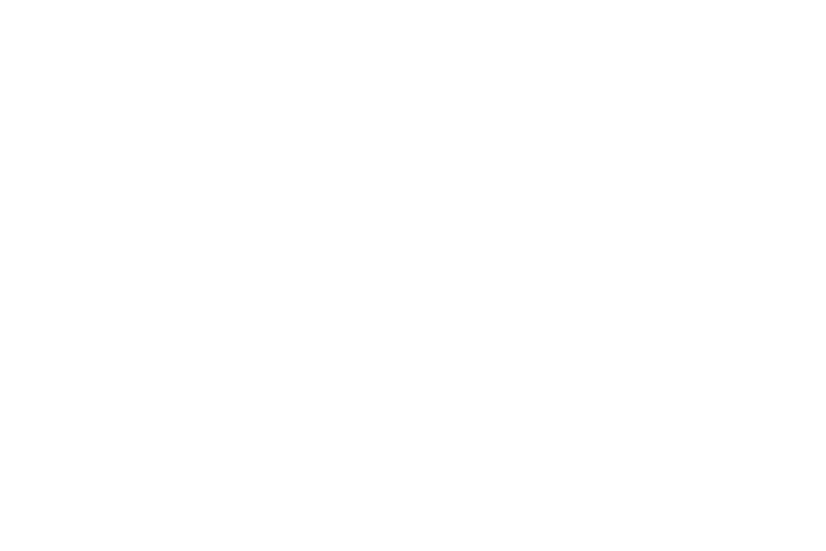 Presidio white logo