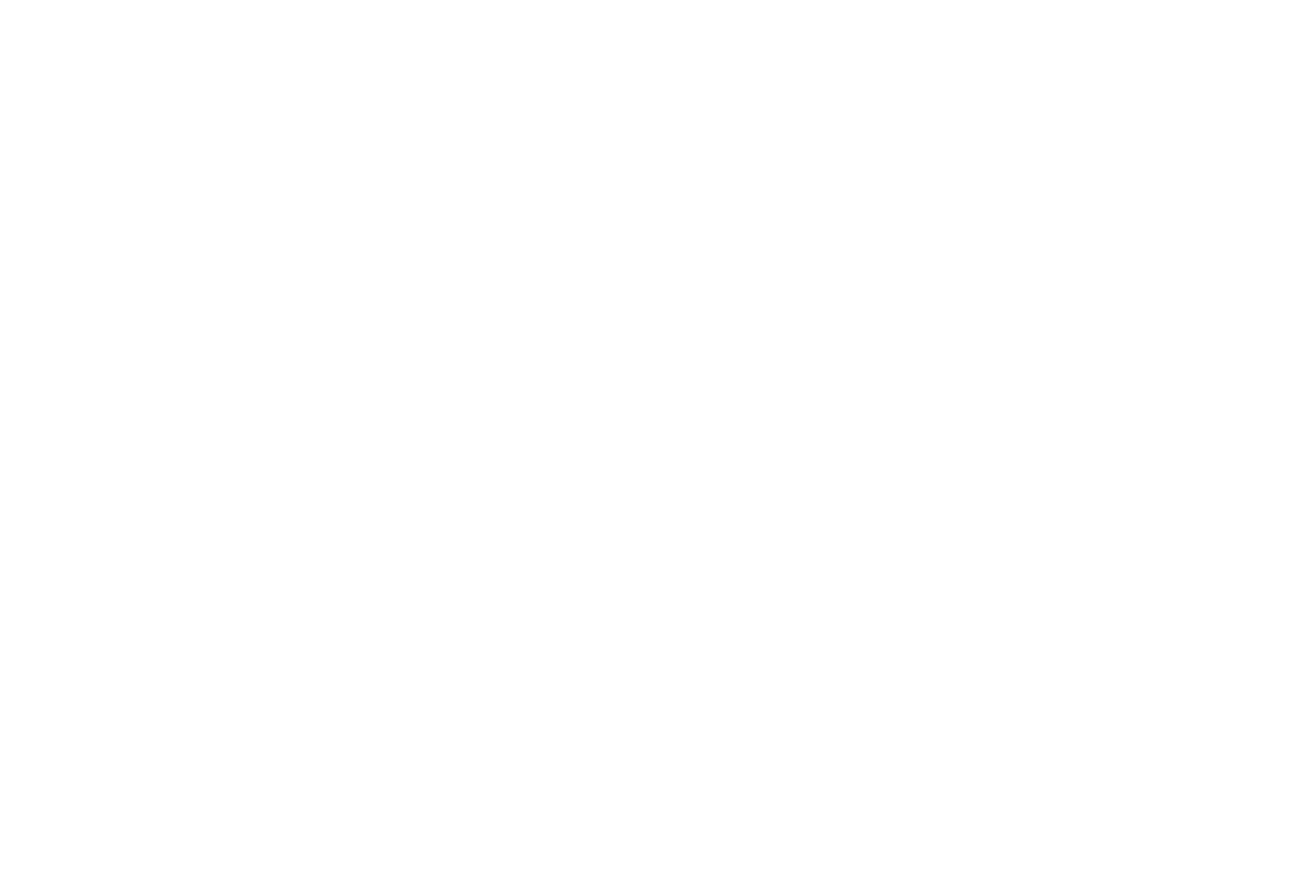 Valicyber-white-8